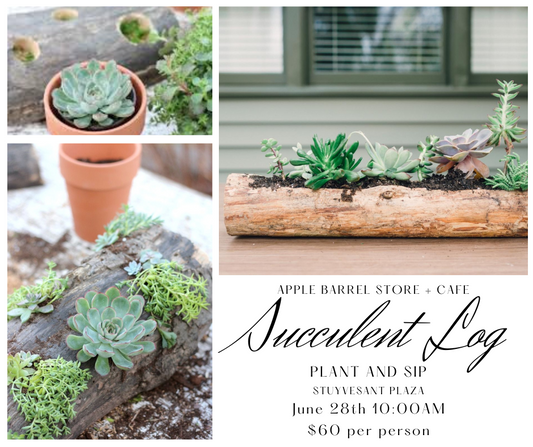 Succulent Log Class