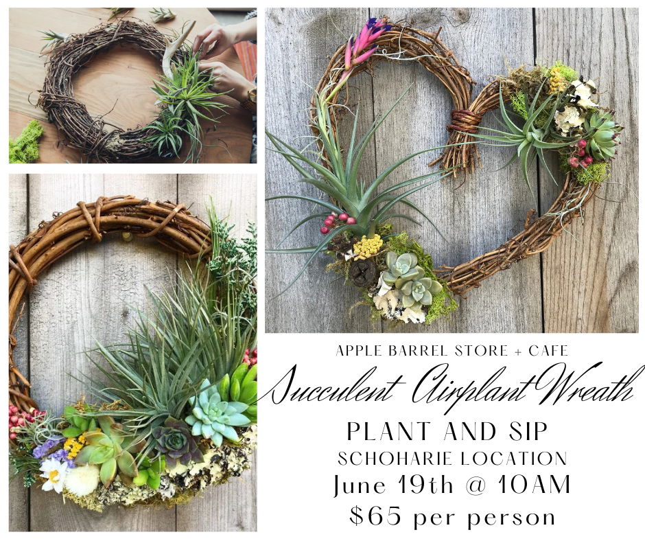 Succulent Airplant Wreath