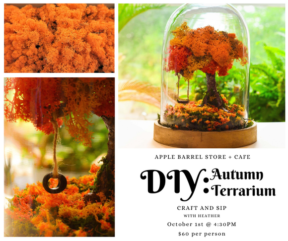 DIY: Autumn Terrarium Craft + Sip Class