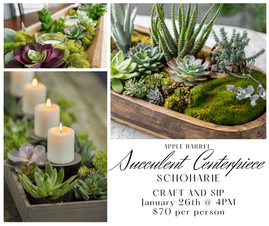 Craft + Sip: Succulent Centerpiece