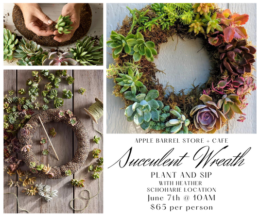 Succulent Wreath Class