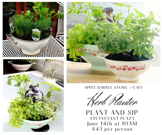 Herb Planter Class