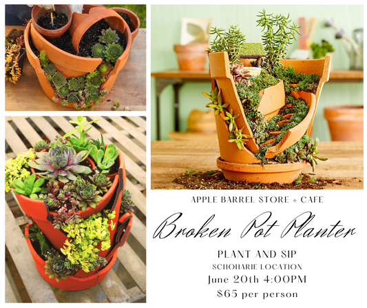 Broken Pot Planter
