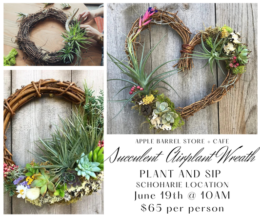 Succulent Airplant Wreath
