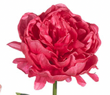 25" Real Touch Peony Stem